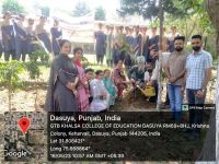 Plantation Drive